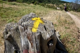 flechas-amarillas-camino-de-santiago